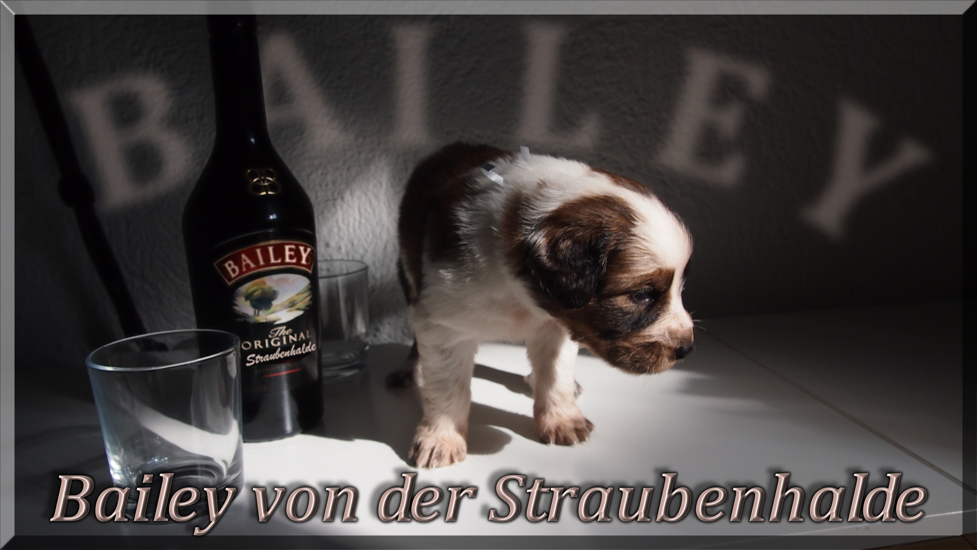 W&auml;ller von der Straubenhalde